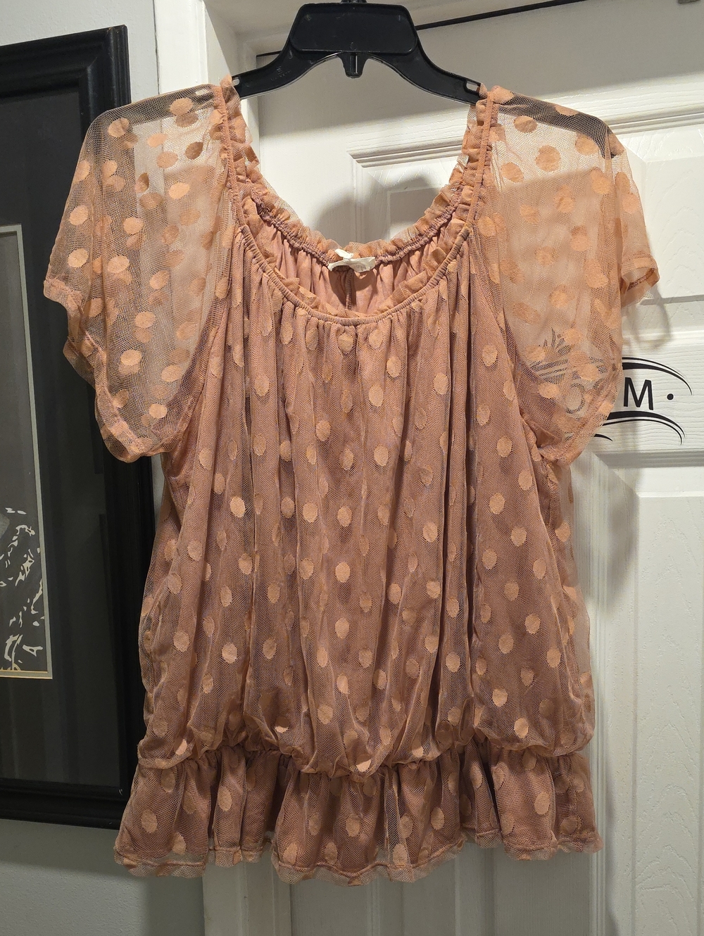 Sheer Polka Dot Dusty Pink Blouson Top - Women
